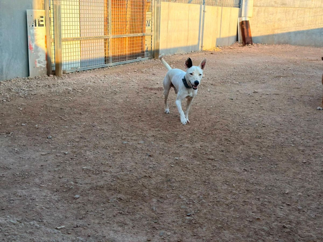 Photo #12 de Tayson