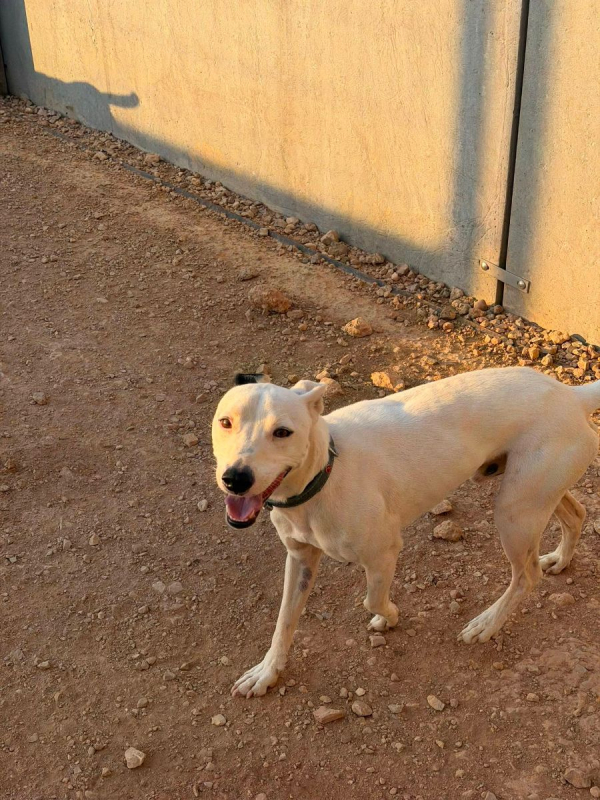 Photo #4 de Tayson