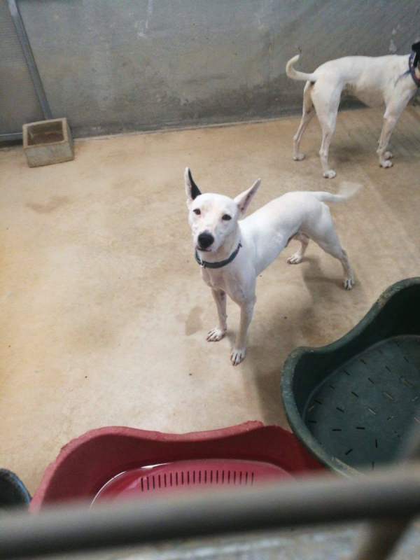Photo #3 de Tayson