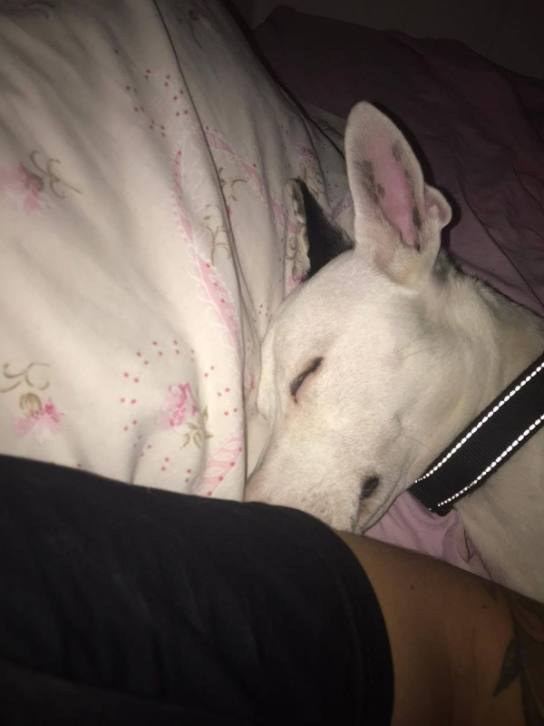 Photo #9 de Tayson