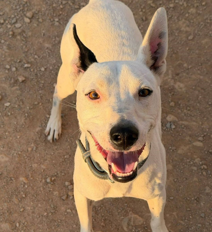 Photo #1 de Tayson