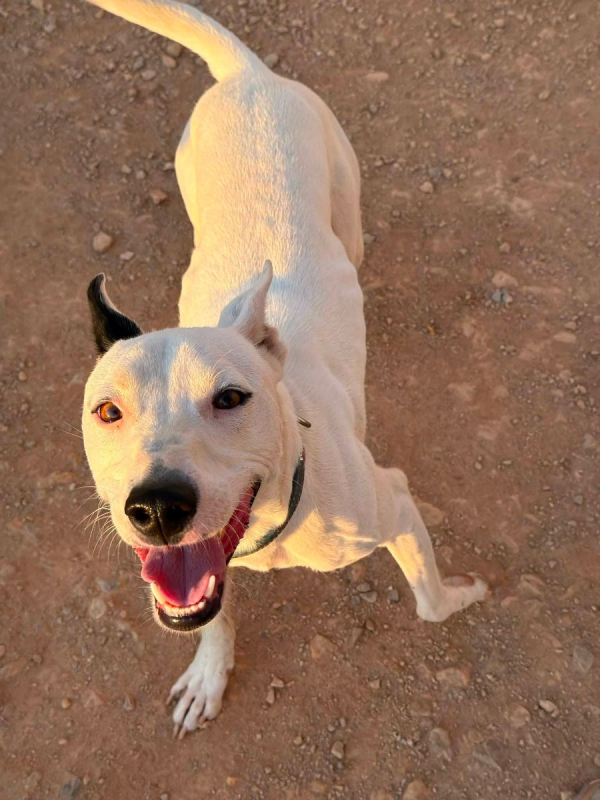 Photo #8 de Tayson