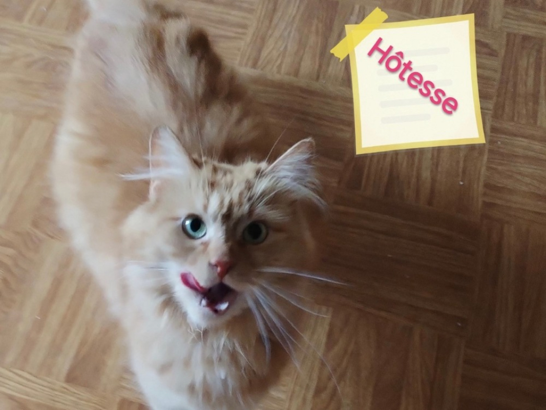 Photo de Hotesse