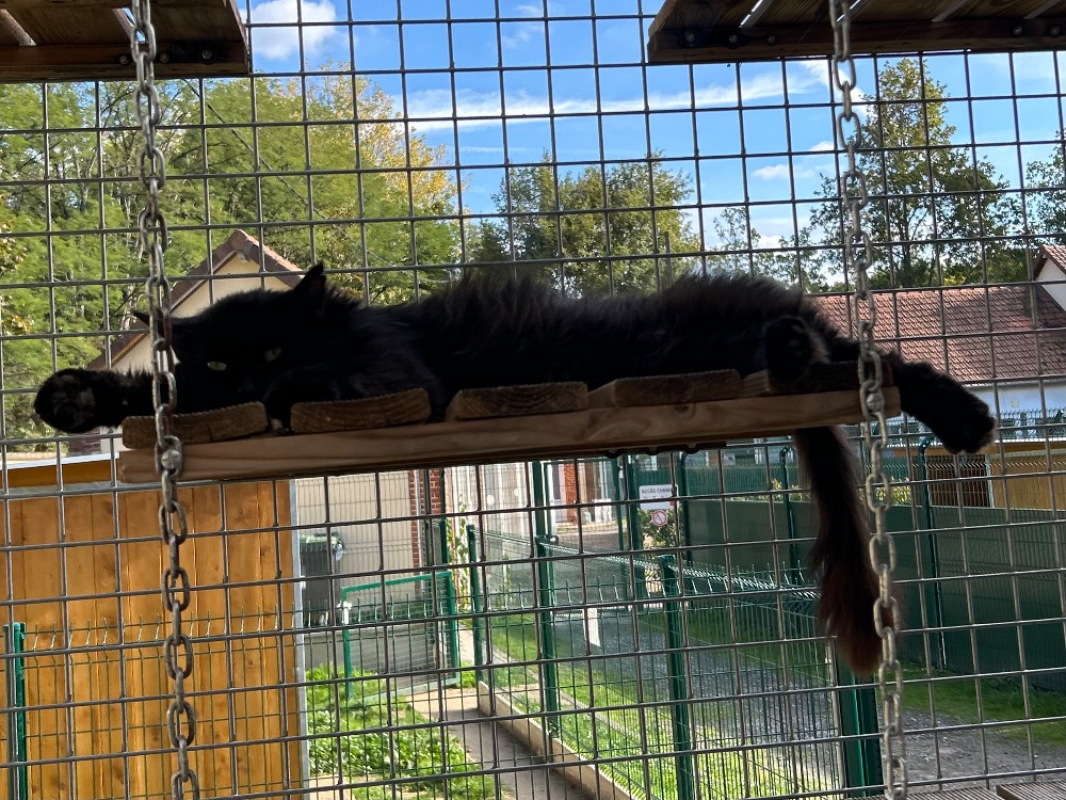 Photo #1 de Moncheri