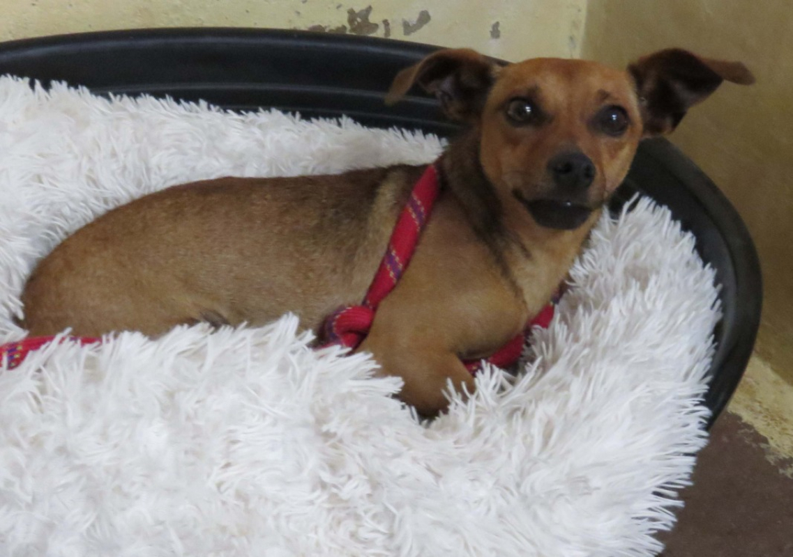 Photo #2 de Meridius