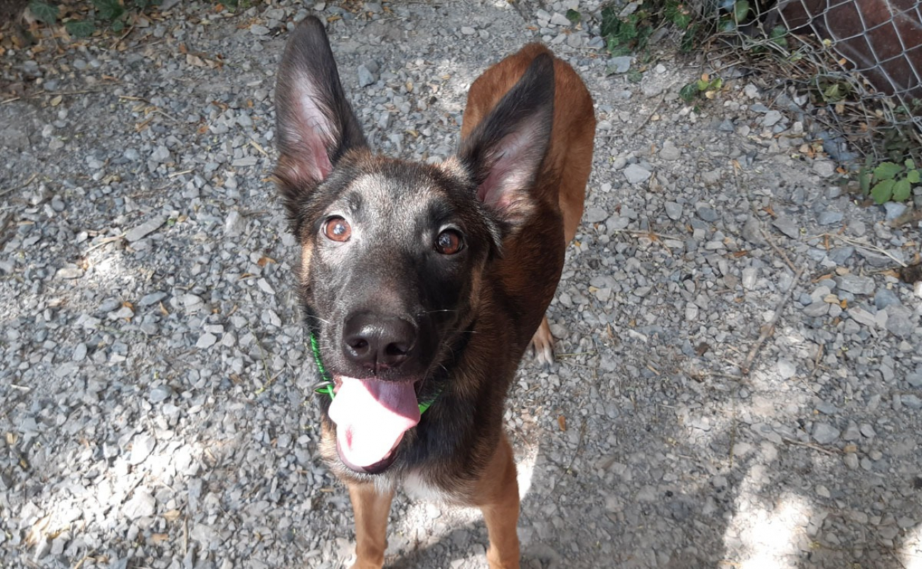 Photo #1 de Sky