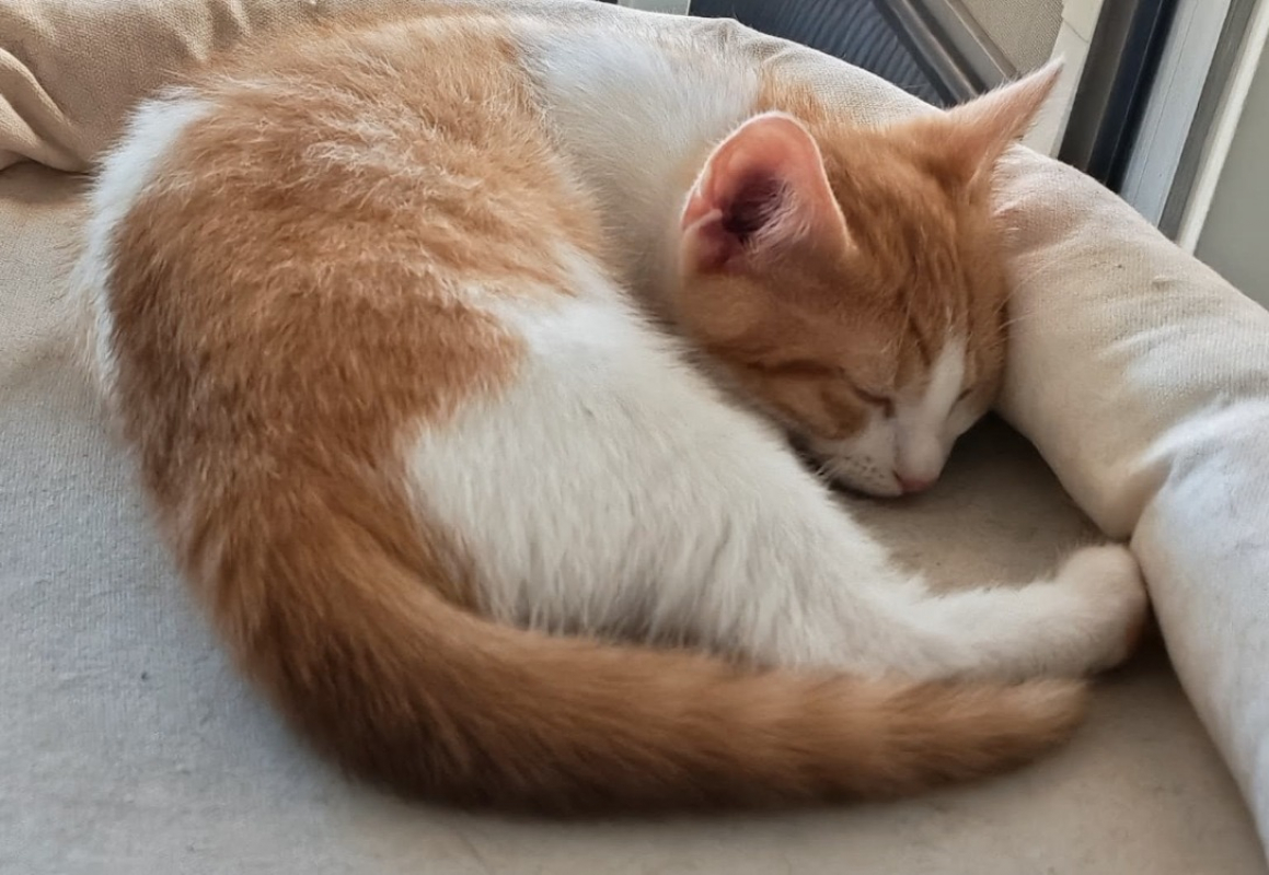 Photo de Eureka