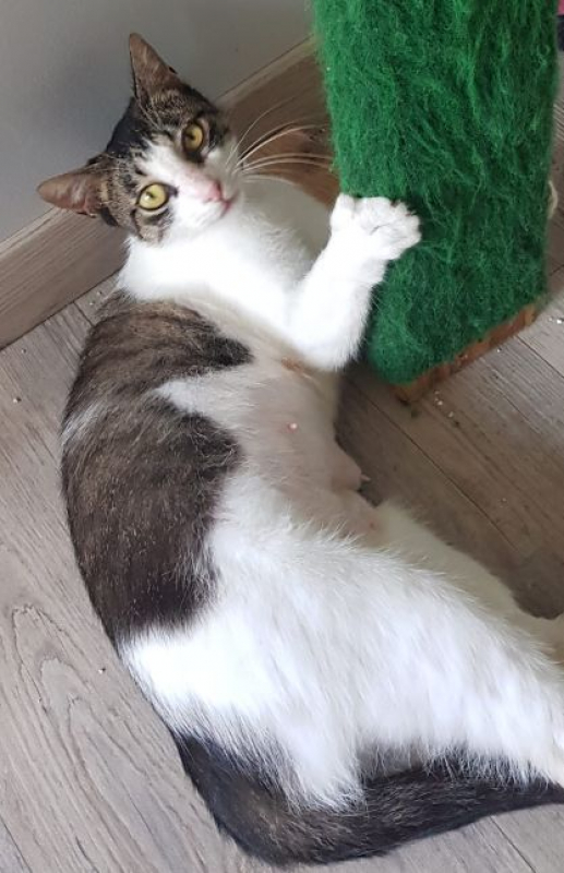 Photo de Mila