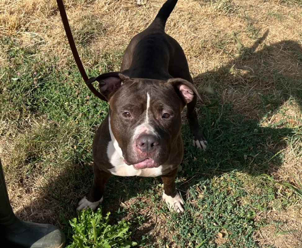 Photo de Bella