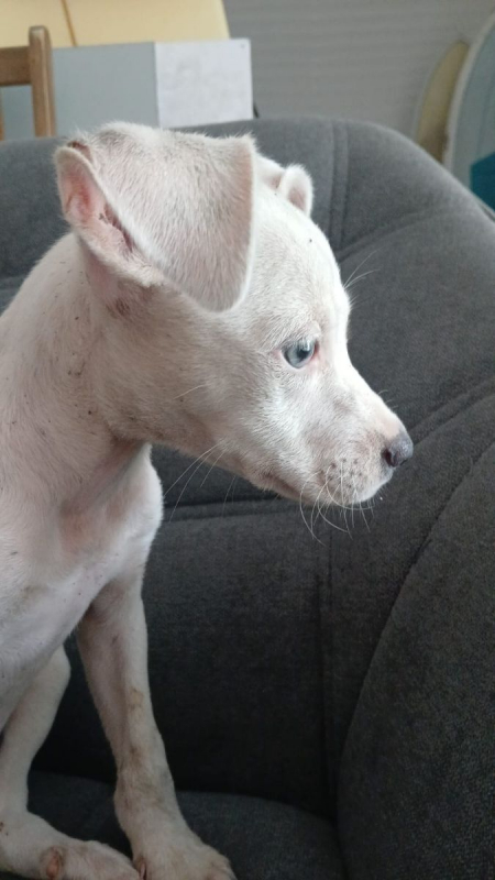 Photo #3 de YUKEE