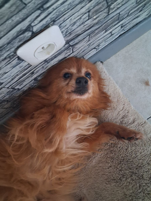 Photo #2 de MILO