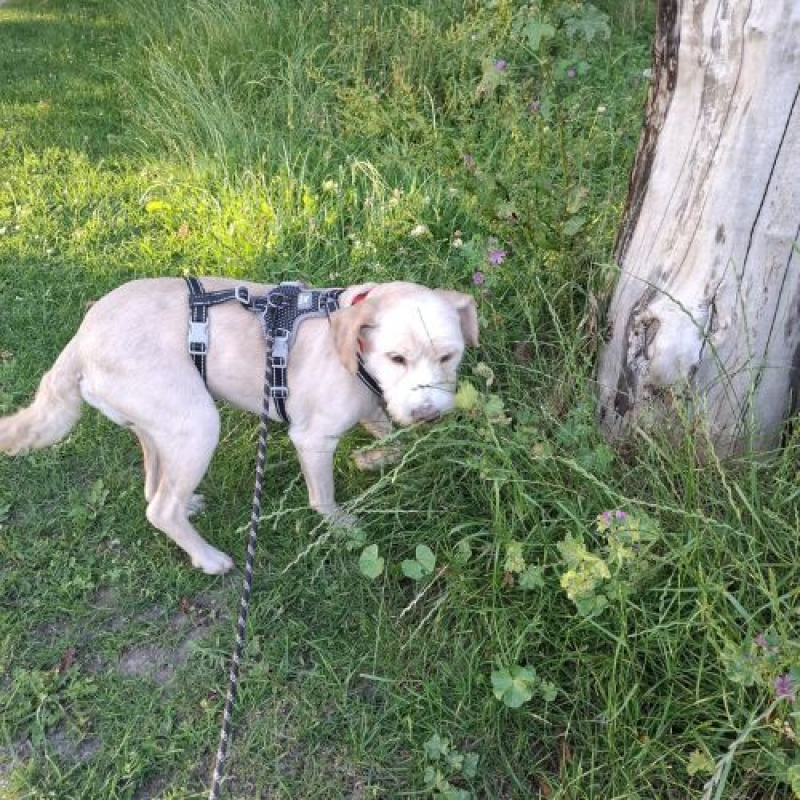 Photo #3 de LUCKY