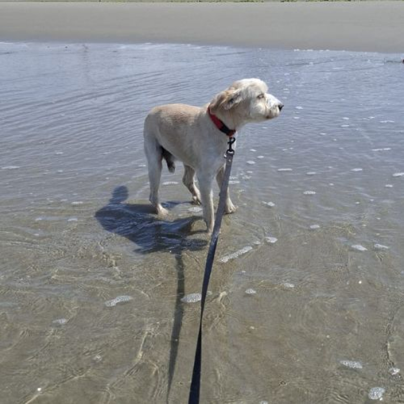 Photo #5 de LUCKY