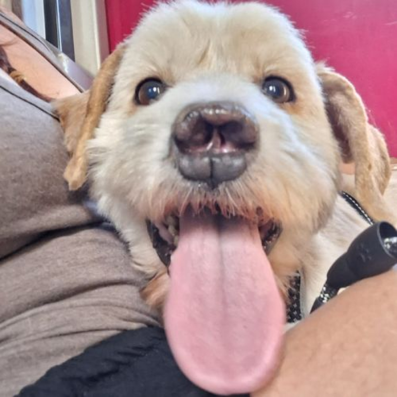 Photo #8 de LUCKY
