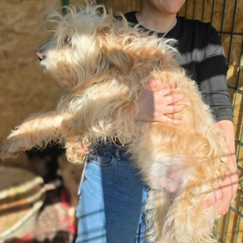 Photo #9 de LUCKY