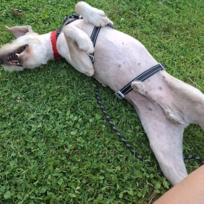 Photo #2 de LUCKY
