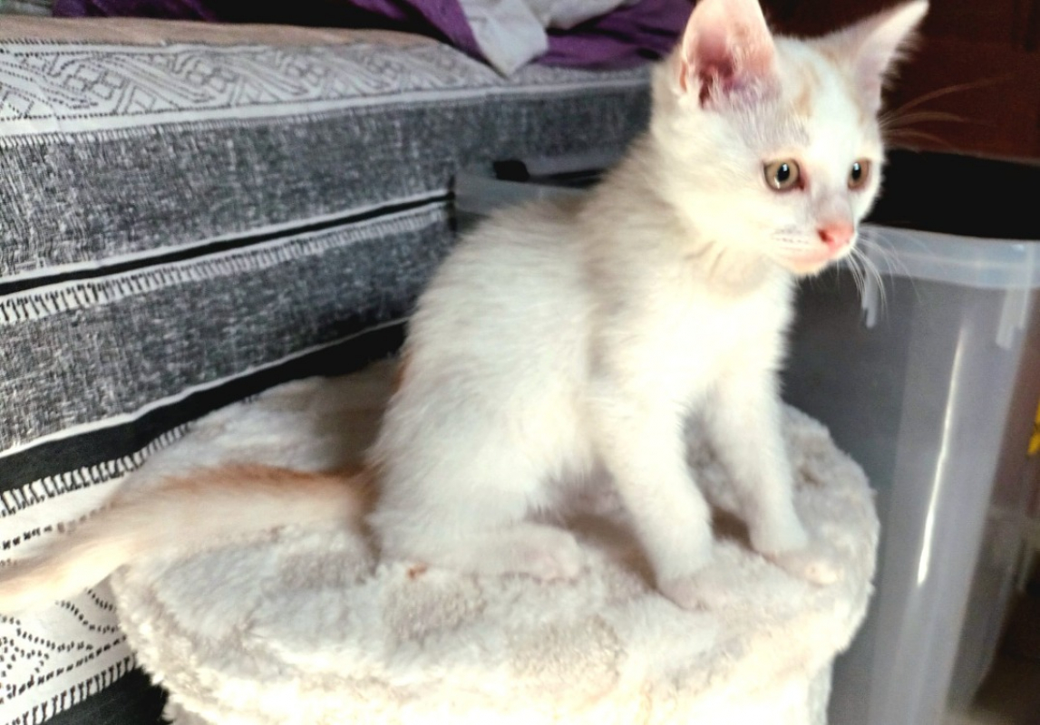 Photo de Ymir chez nadia