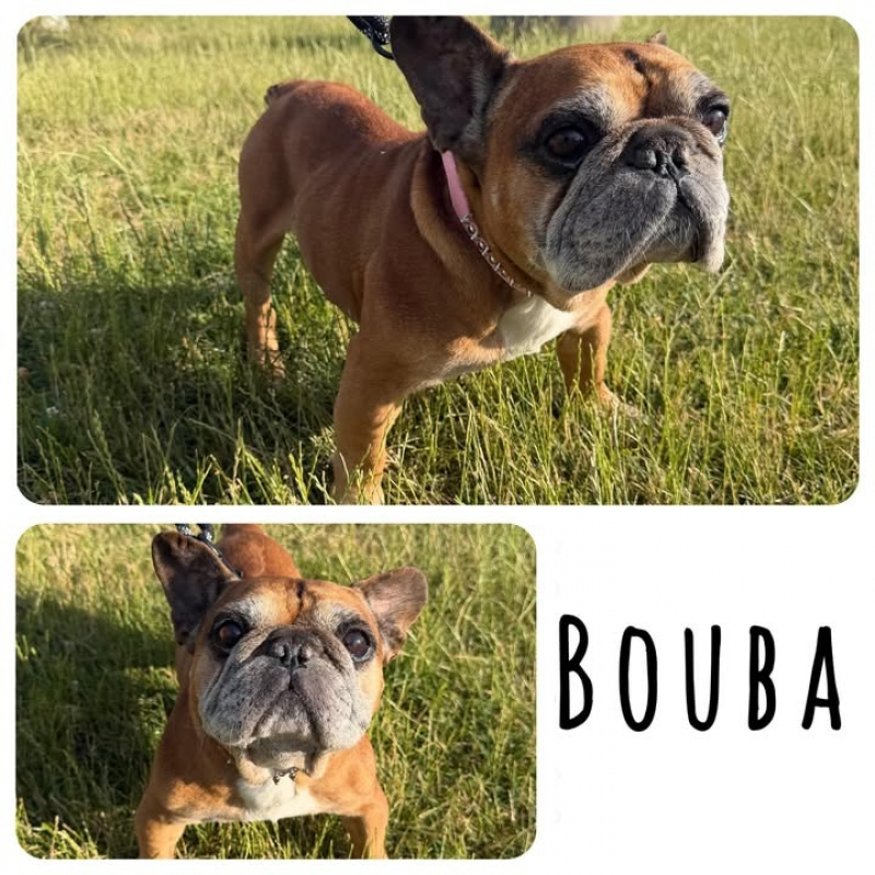 Photo de Bouba