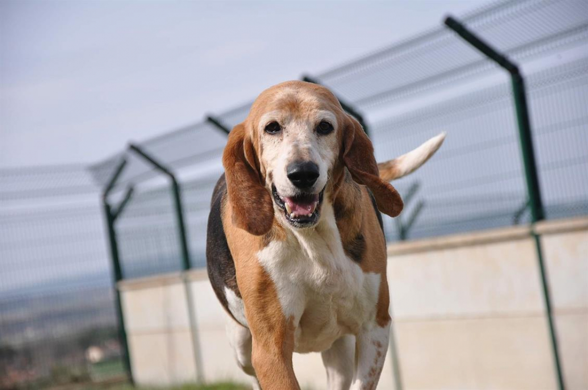 Photo #1 de Titounette