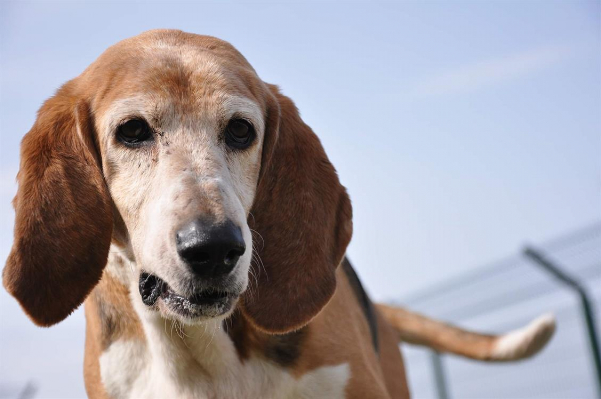 Photo #2 de Titounette