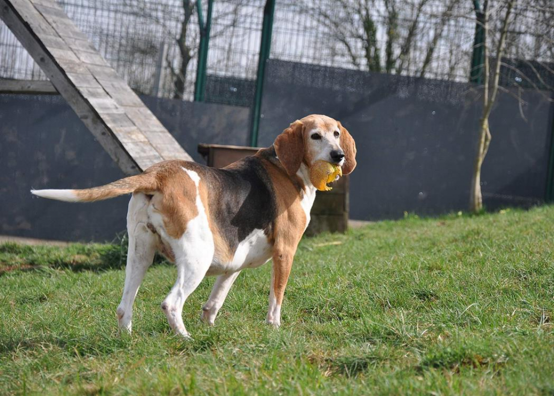 Photo #3 de Titounette