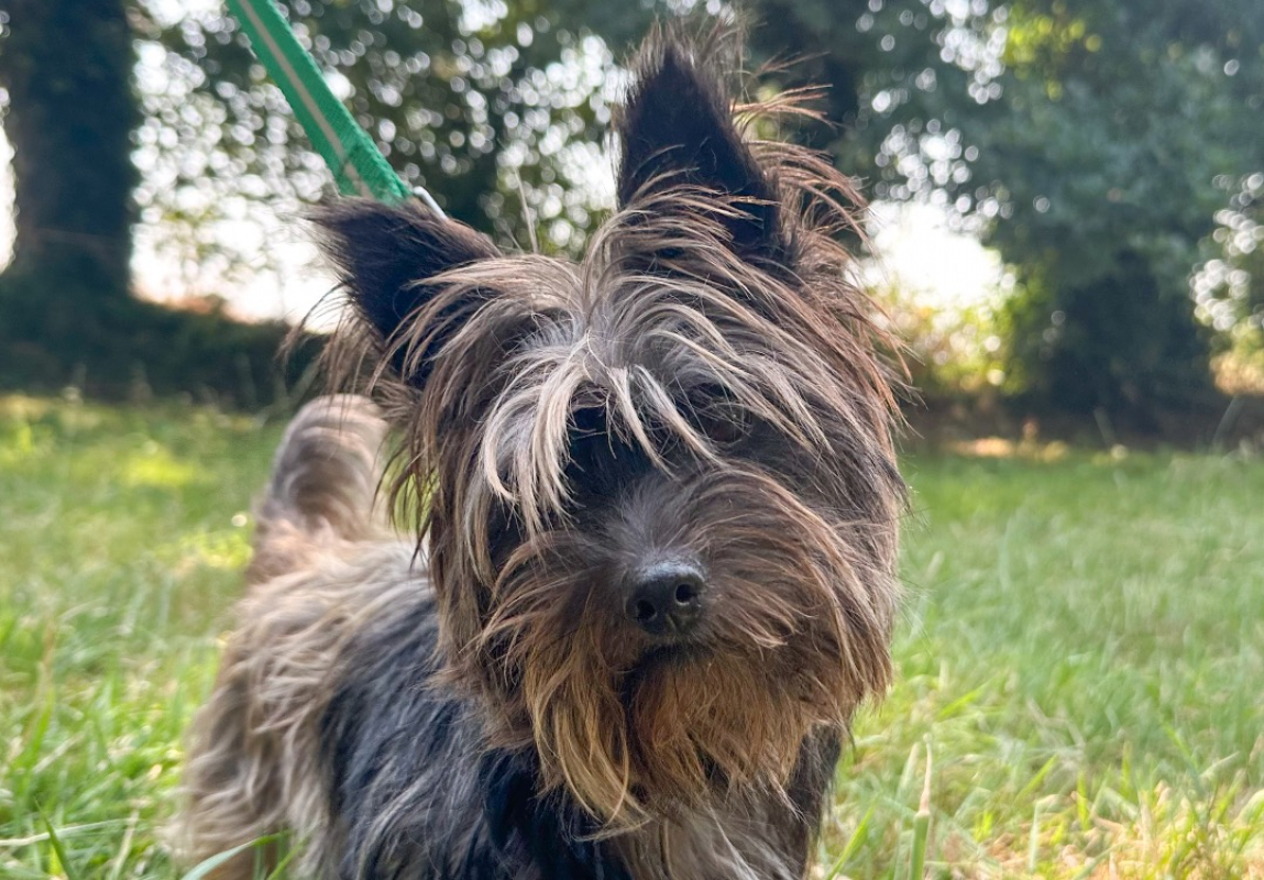 Photo de Pepette