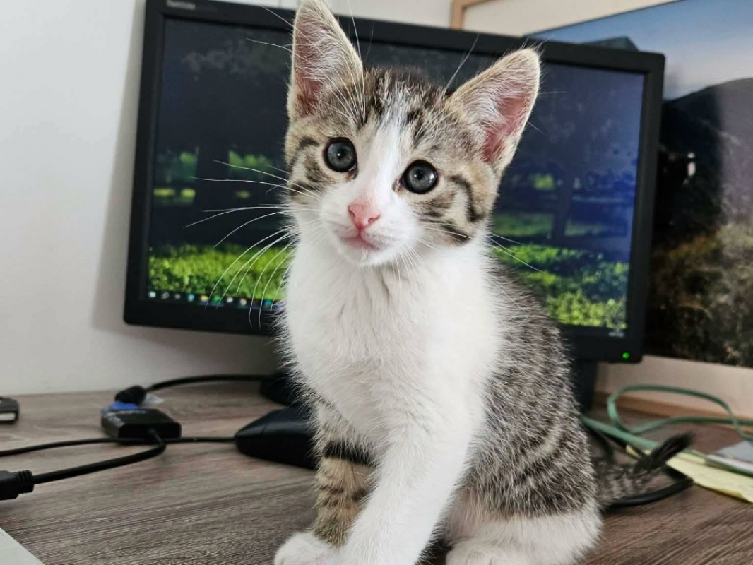 Photo de Bugs