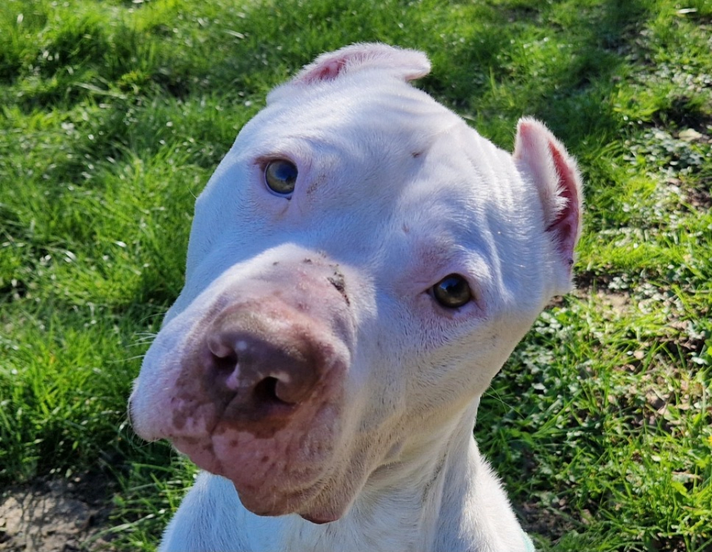 Photo de Snow