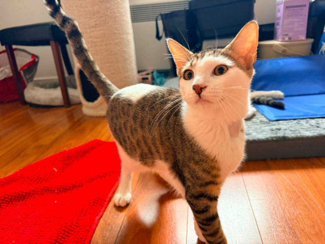 Photo de Caramel