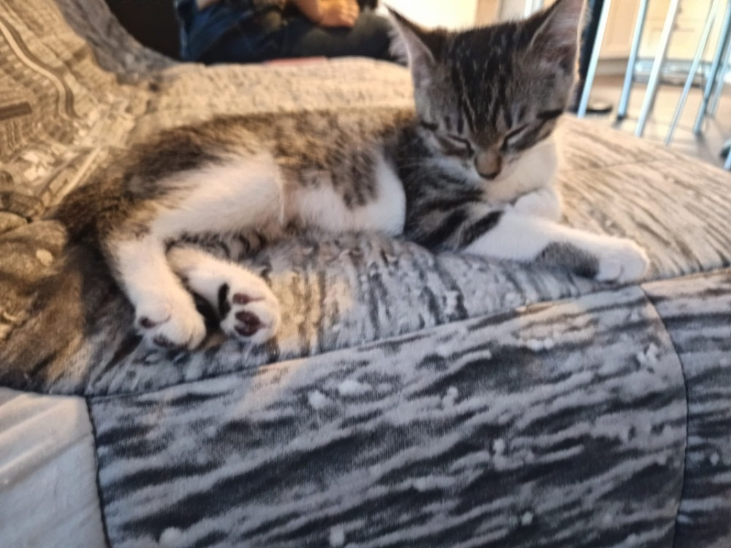 Photo de Chunpi