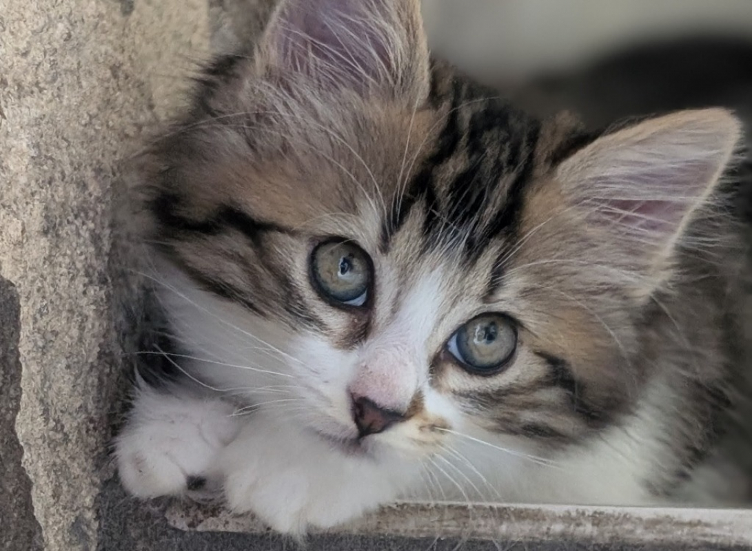 Photo de Winky