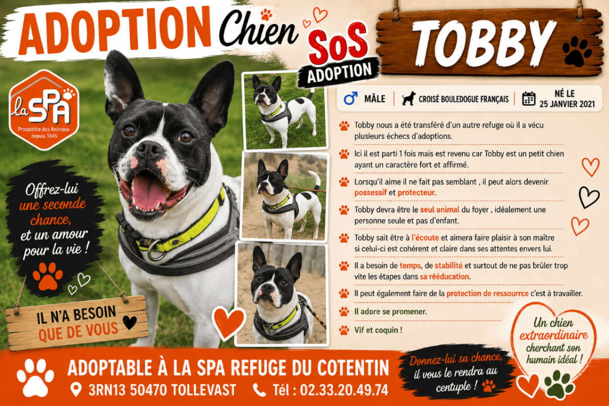Photo de Tobby