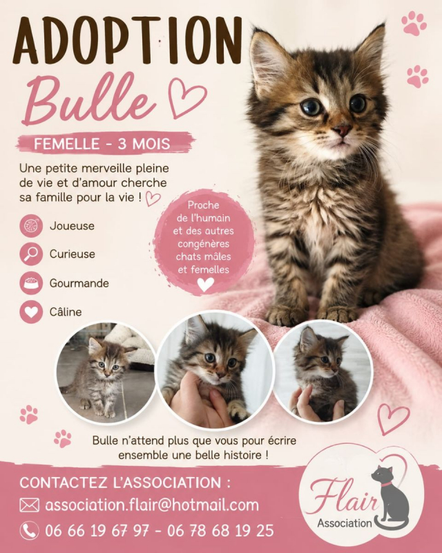 Photo de Bulle