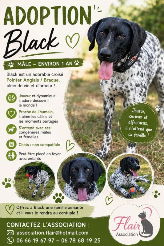 Photo de Black