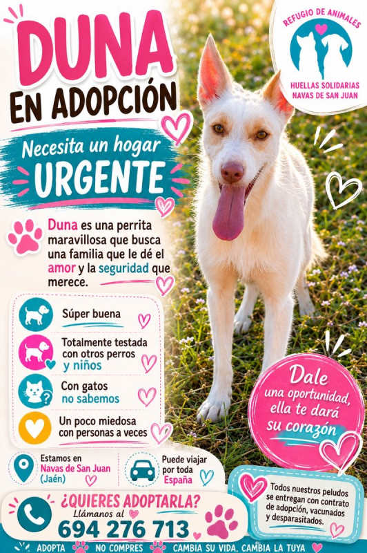 Photo de DUNA