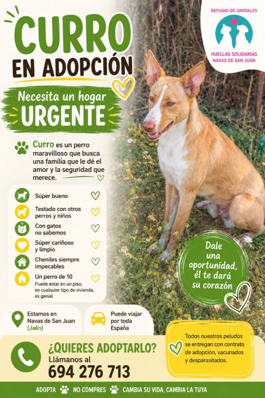 Photo de CURRO