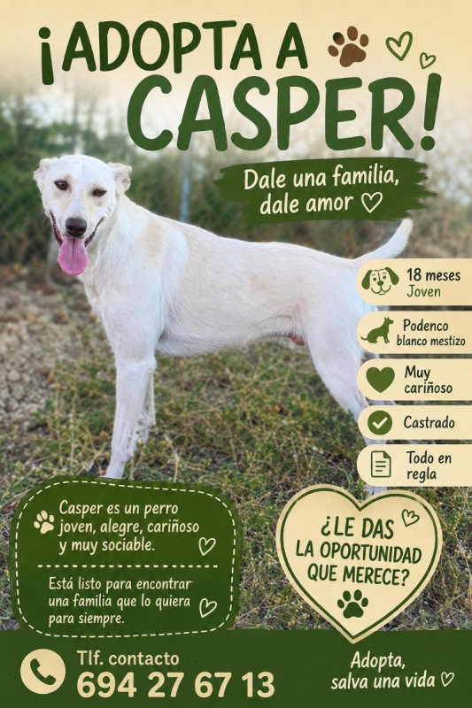 Photo de CASPER