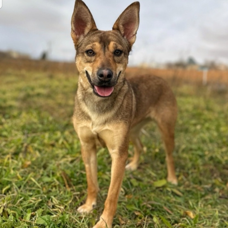 Photo de Luci