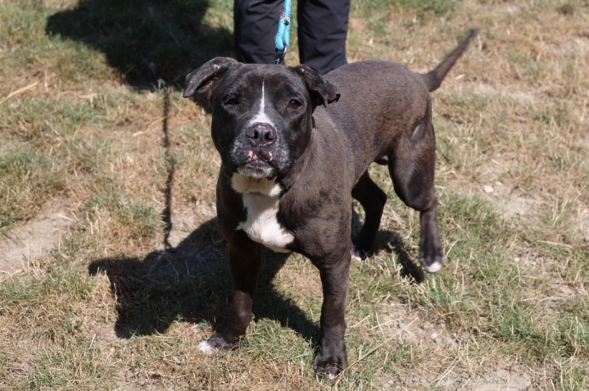 Photo #2 de Mcgregor