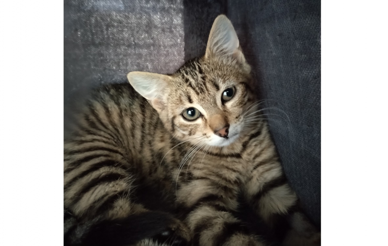 Photo de Stormy