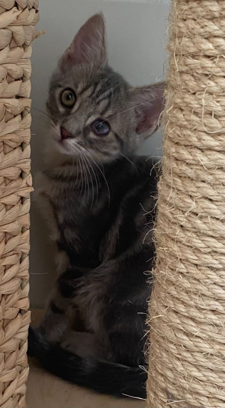 Photo #2 de Sammy