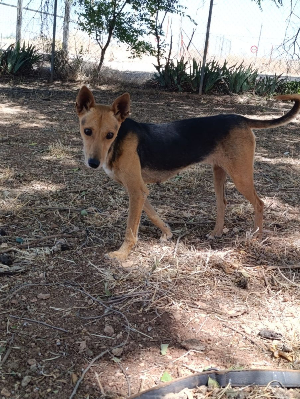 Photo #5 de Zoe