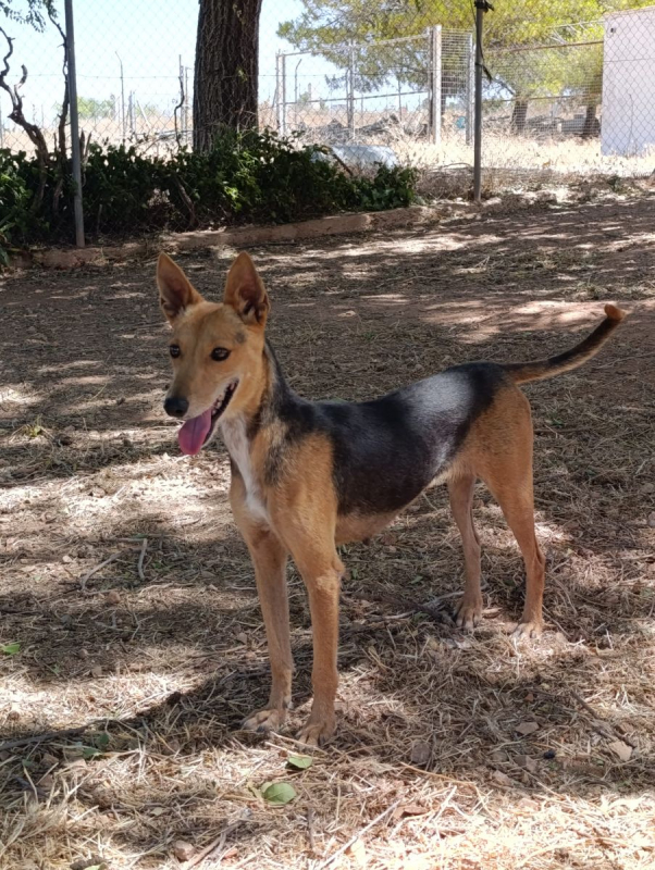 Photo #6 de Zoe