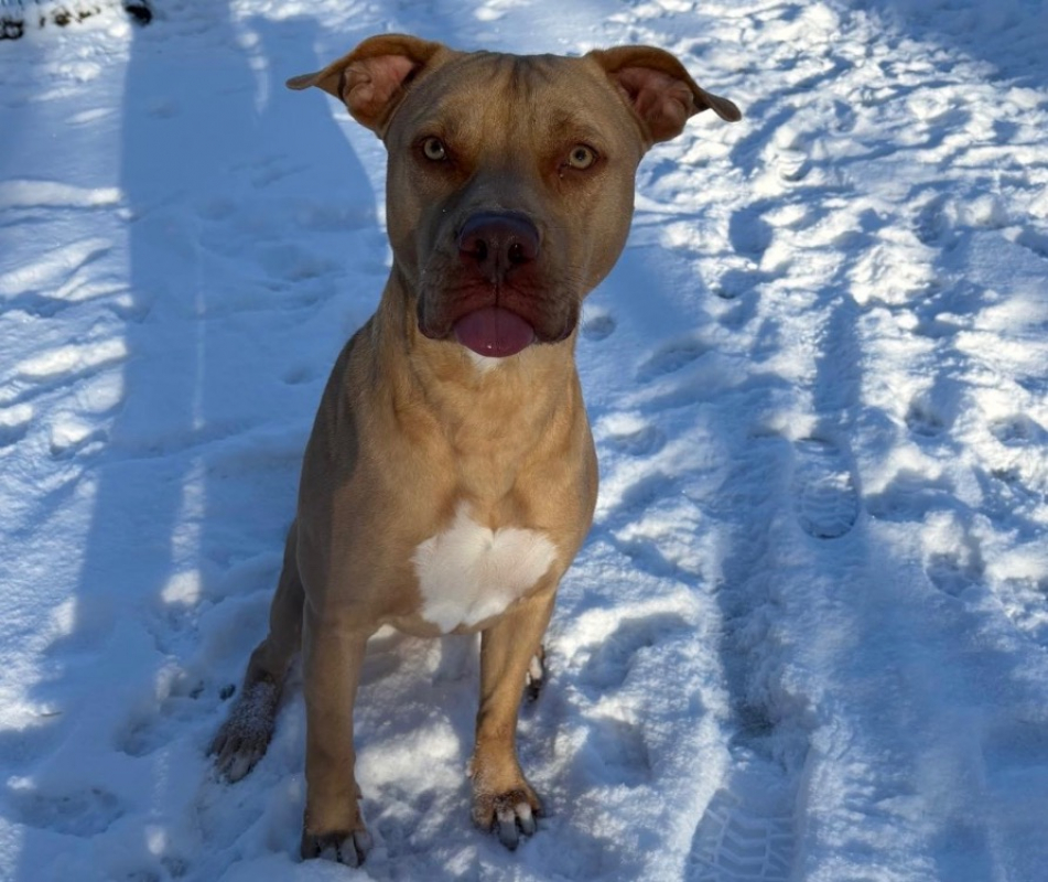 Photo #1 de Glam dit gucci