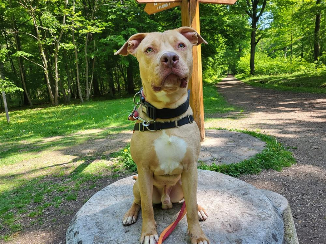 Photo #2 de Glam dit gucci