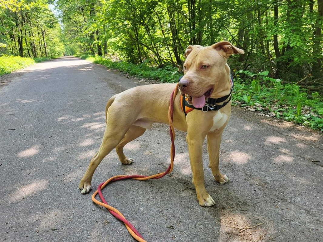 Photo #3 de Glam dit gucci