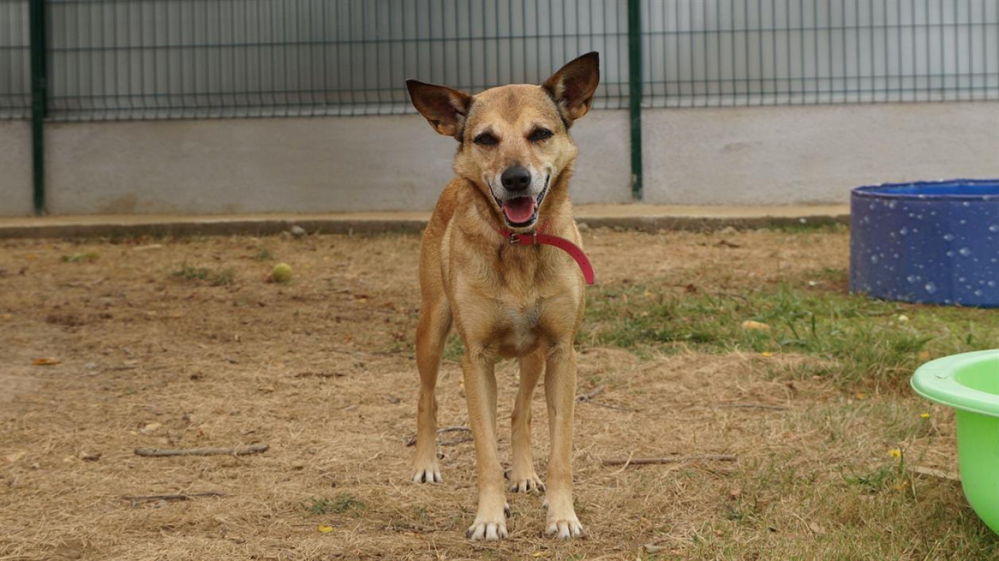 Photo #3 de Edora promise