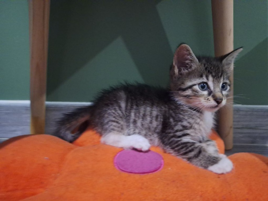 Photo #3 de Peche