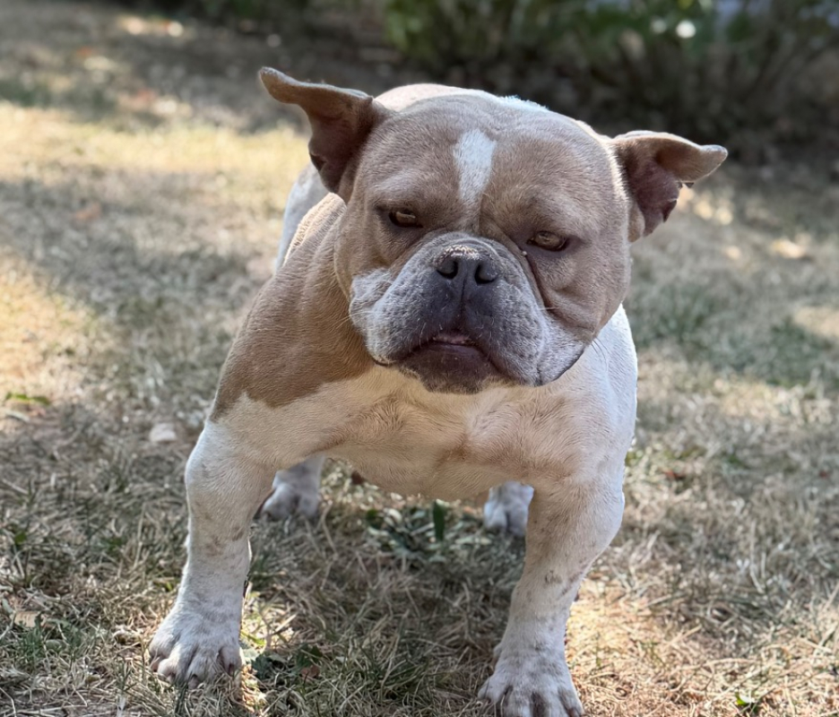 Photo de Tatonka