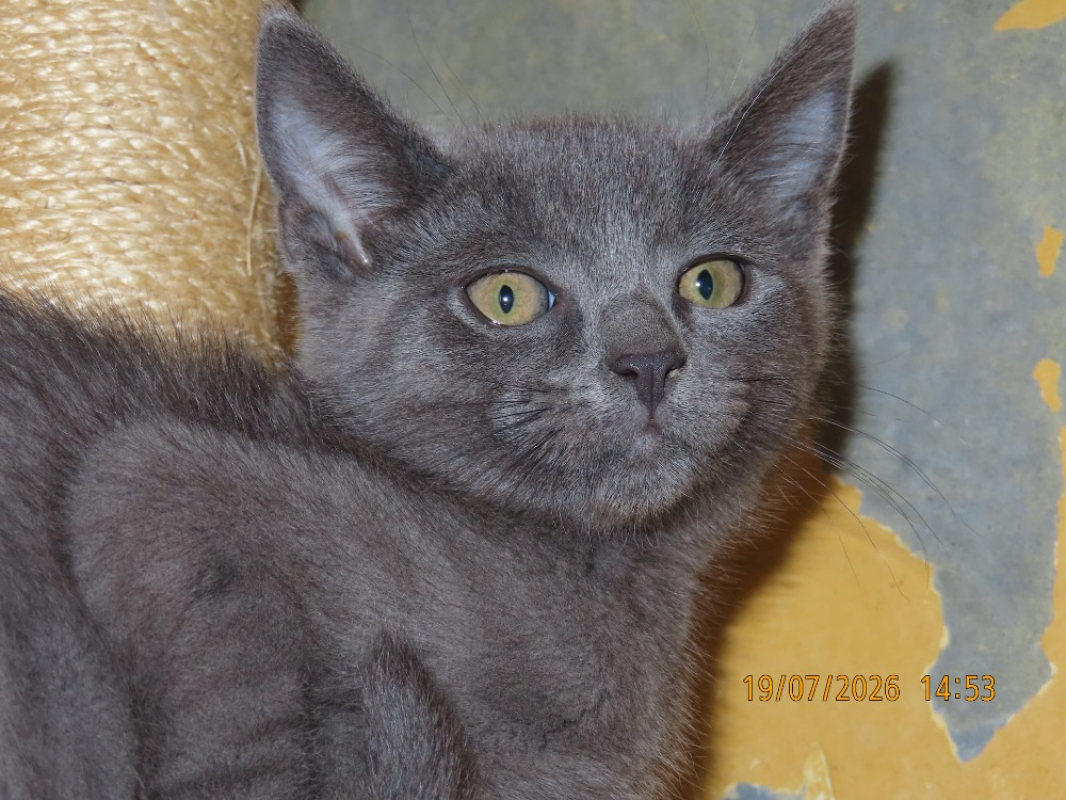 Photo #3 de Willy